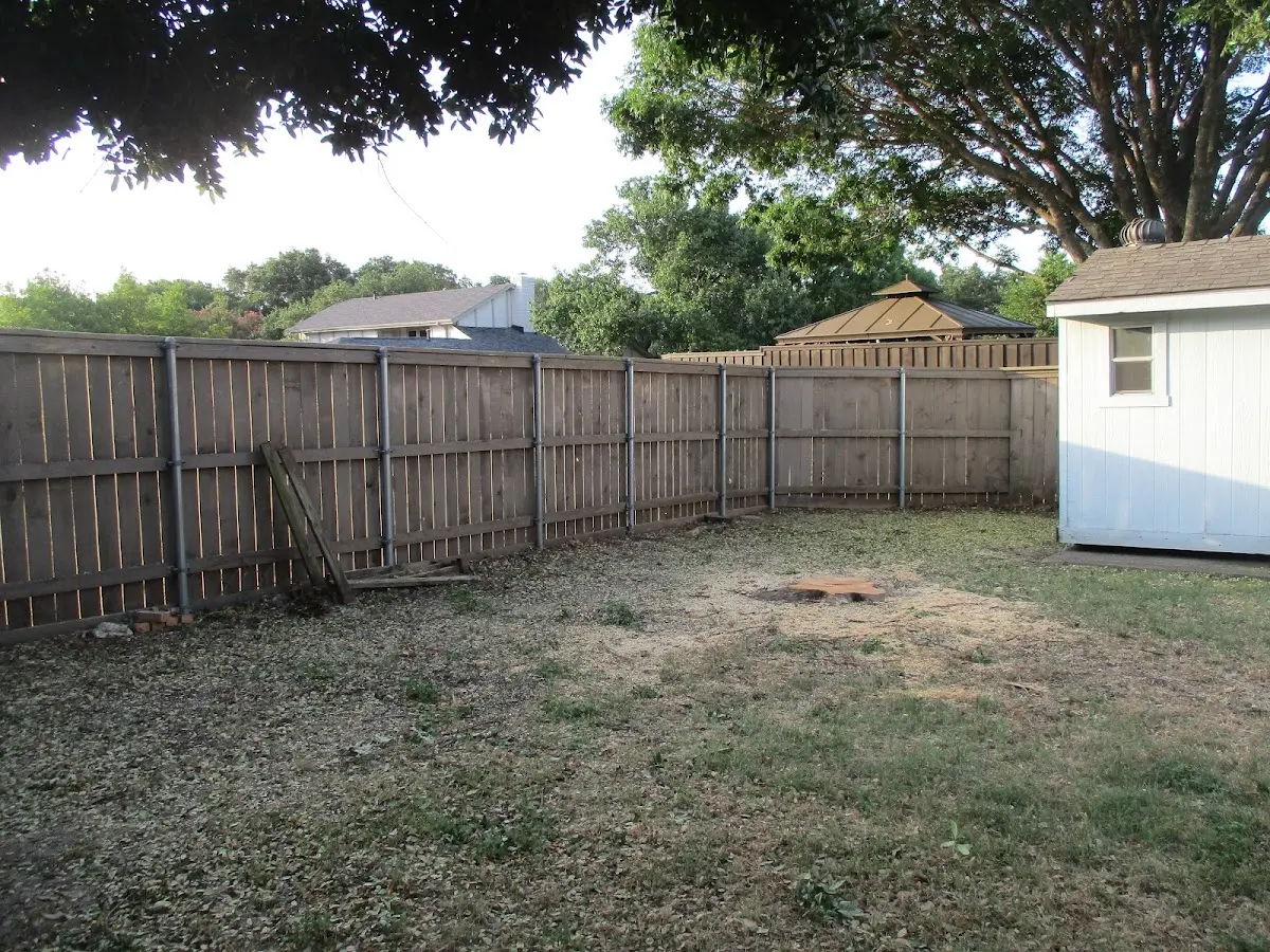 Cleared yard after professional tree removal in Lake Zurich
